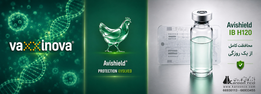 Avisheild-ib-h120
